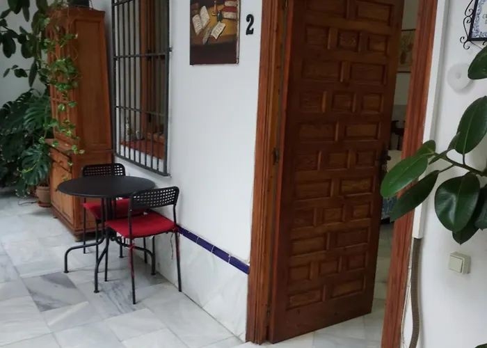 Patio Sevillano Flores